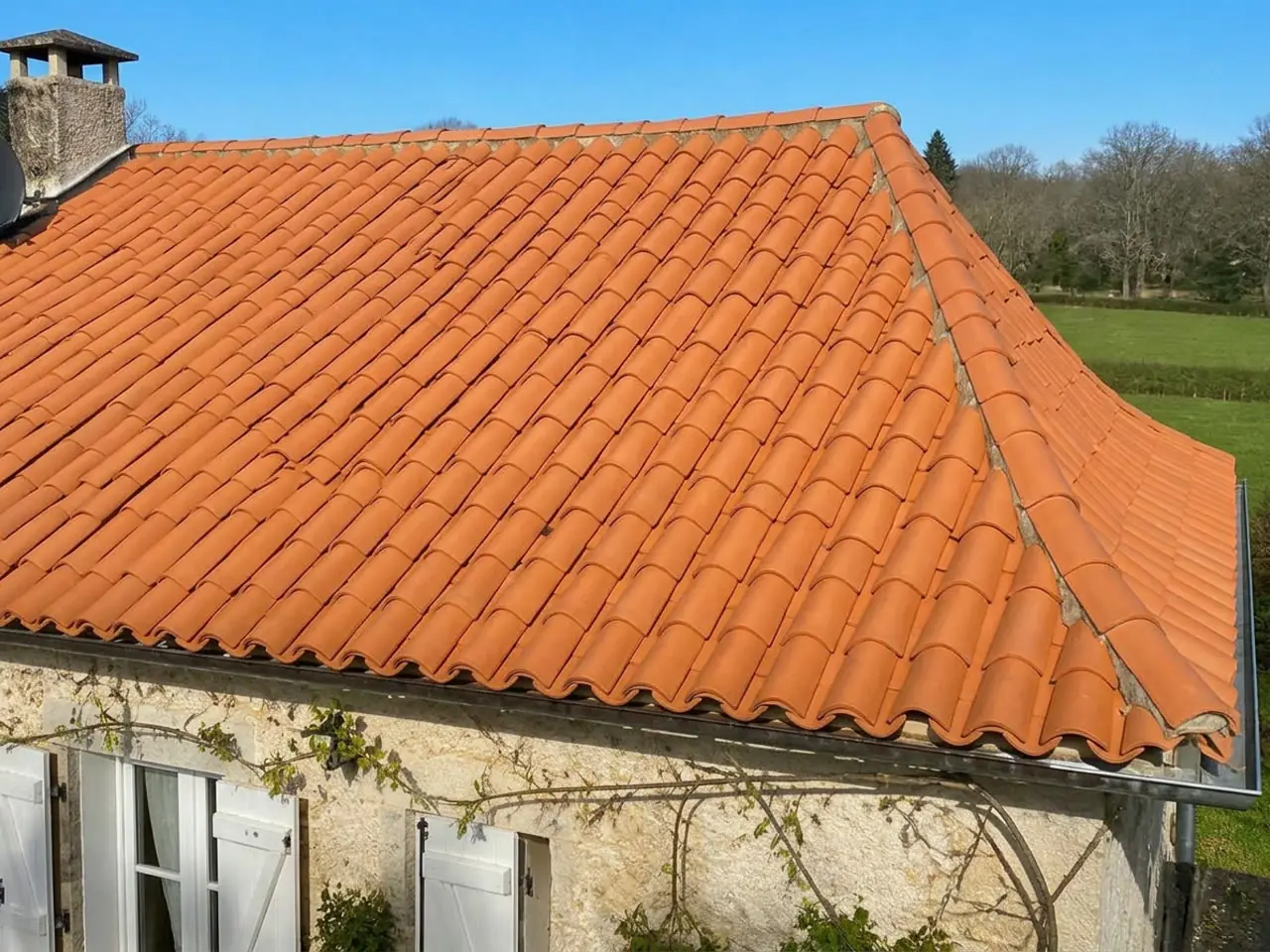 Démoussage de toiture à Mâcon — après
