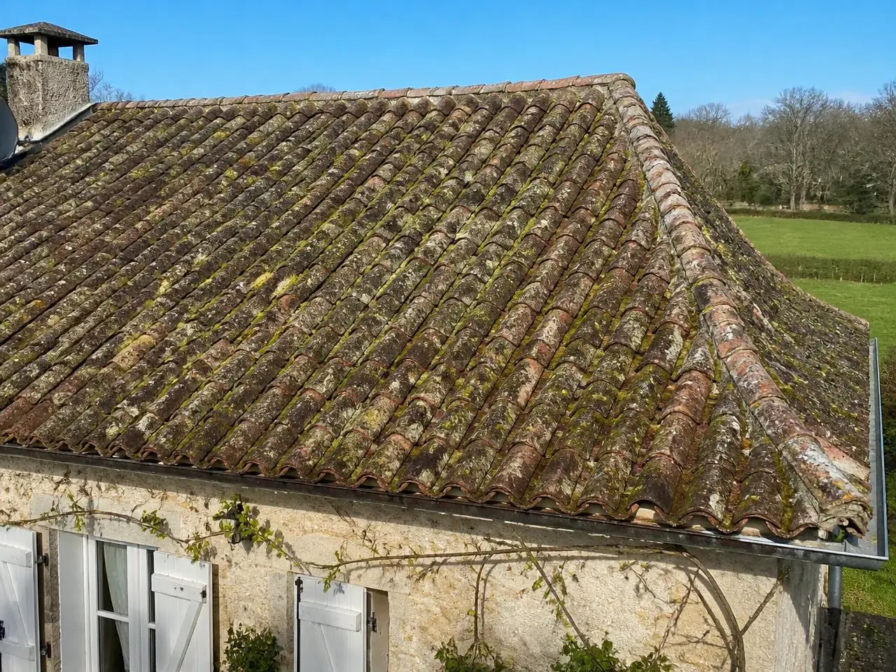 Démoussage de toiture à Mâcon — avant